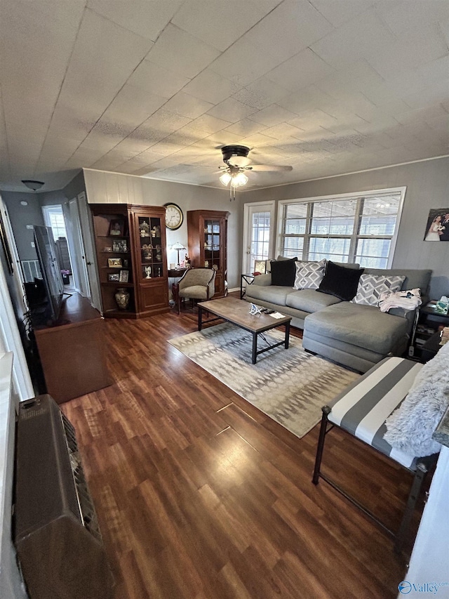 living area featuring ceiling fan and wood finished floors