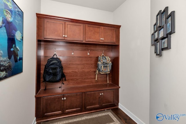 mudroom with dark wood-type flooring