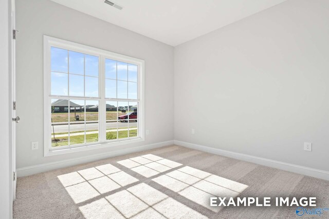 carpeted spare room with a healthy amount of sunlight