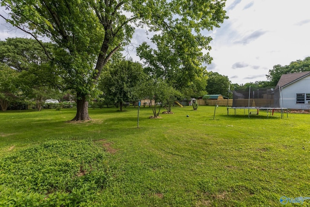 43 Terry Ln, Trinity, AL 35673 - view of yard featuring a trampoline