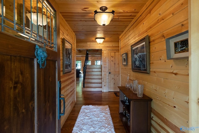 420 County Road 496, Centre, AL 35960 - doorway to outside with stairs, wooden walls, dark wood-type flooring, and wood ceiling