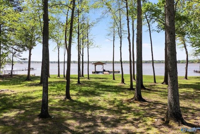 420 County Road 496, Centre, AL 35960 - view of water feature