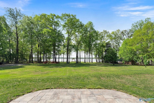 420 County Road 496, Centre, AL 35960 - view of yard