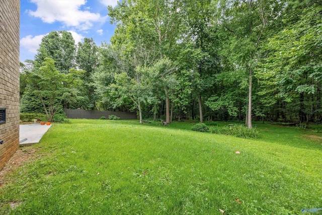 230 Knotting Pl, Madison, AL 35758 - view of yard
