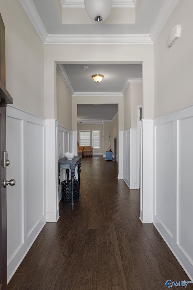 28622 Paseo Rd, Madison, AL 35756 - corridor with a decorative wall, crown molding, dark wood finished floors, and wainscoting