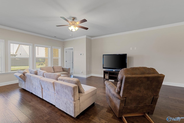 28622 Paseo Rd, Madison, AL 35756 - living room with ornamental molding, baseboards, ceiling fan, and dark wood-style flooring