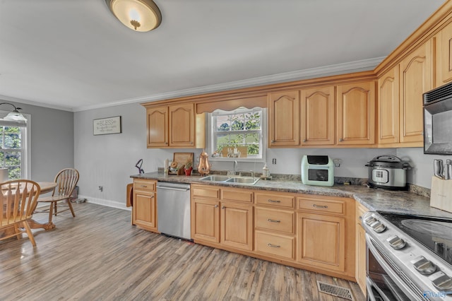 kitchen with stainless steel dishwasher, range with electric stovetop, a healthy amount of sunlight, and sink