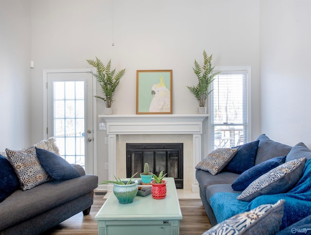 living room featuring a glass covered fireplace and wood finished floors