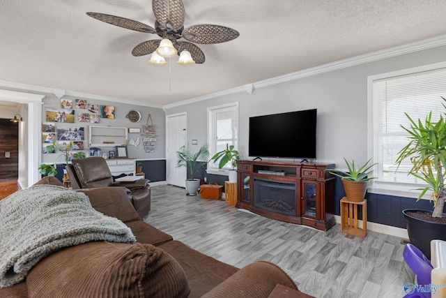 living room featuring light wood finished floors, a textured ceiling, and ceiling fan