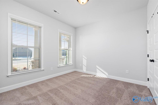 empty room featuring light carpet and a healthy amount of sunlight