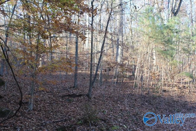 Listing photo 2 for 404 Tomahawk Cir, Guntersville AL 35976