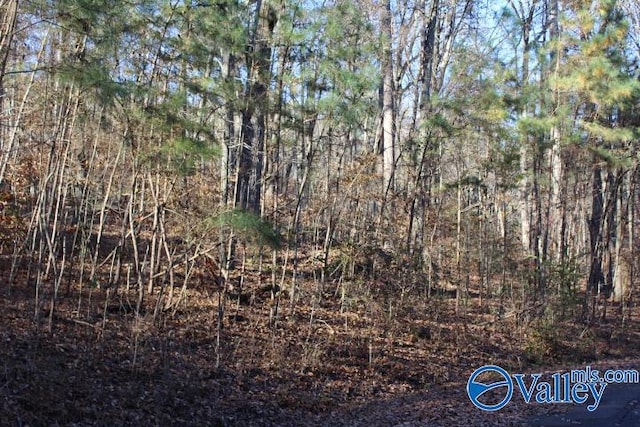 Listing photo 3 for 404 Tomahawk Cir, Guntersville AL 35976