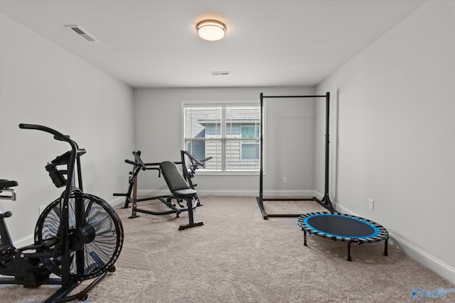 9045 Redstone Square Dr, Huntsville, AL 35824 - workout room featuring light colored carpet