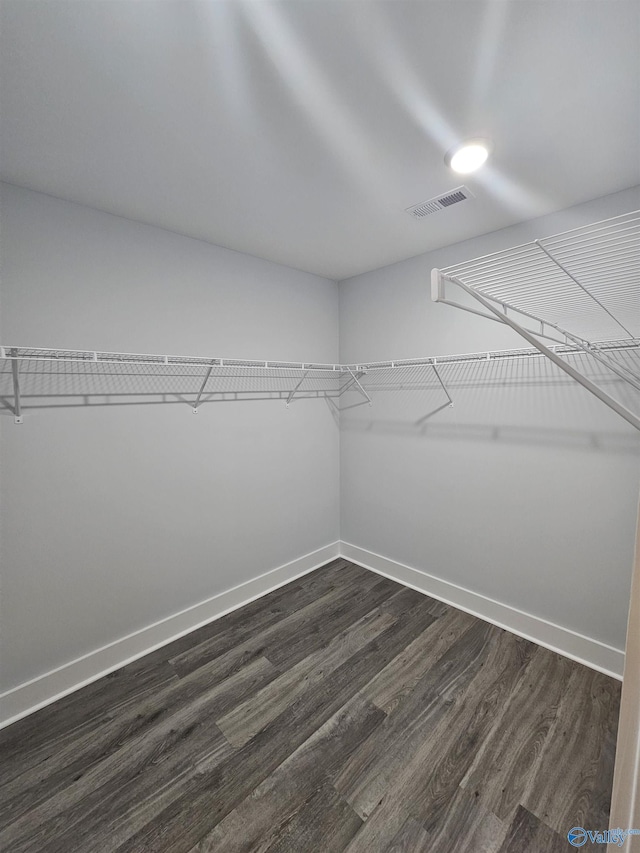 walk in closet featuring visible vents and dark wood-style flooring