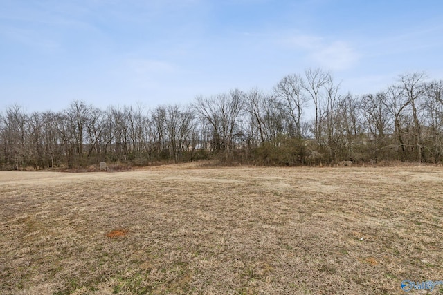 view of nature featuring a rural view