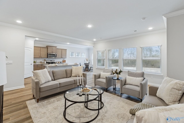 living room with crown molding and light wood-type flooring