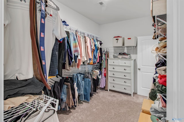 spacious closet featuring visible vents and carpet floors
