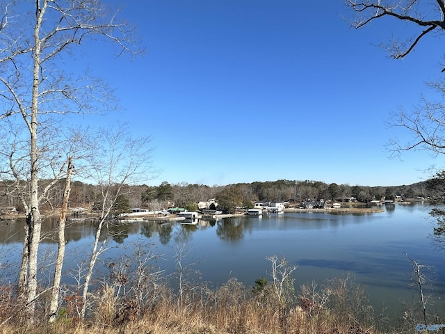 111 Mohawk Ct, Ohatchee AL, 36271 land for sale