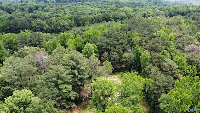 6.31ACRES Herring Rd, Hartselle, AL 35640