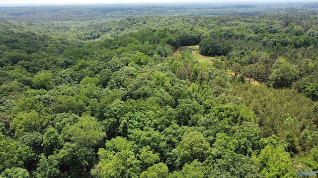 6.31ACRES Herring Rd, Hartselle, AL 35640