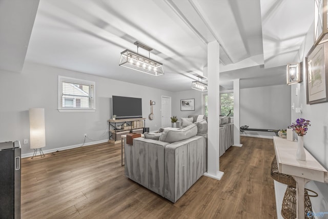 living area featuring baseboards, wood finished floors, and a wealth of natural light