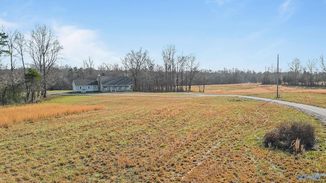 view of yard with concrete driveway