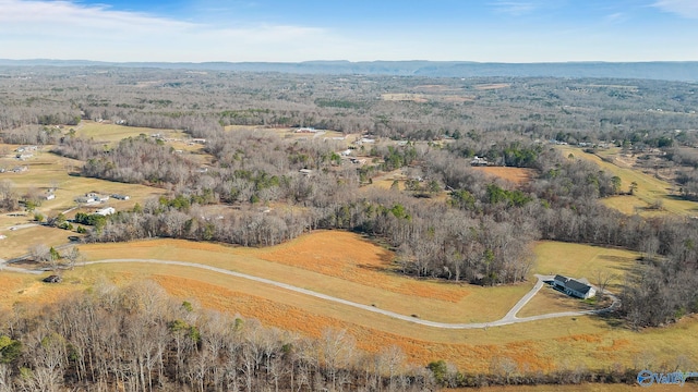 aerial view with a rural view