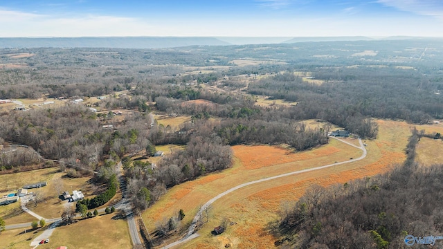 aerial view with a forest view