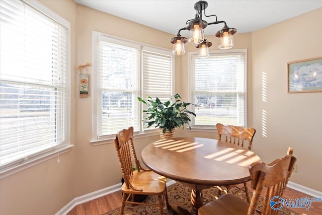 dining area featuring a wealth of natural light, wood-type flooring, and an inviting chandelier