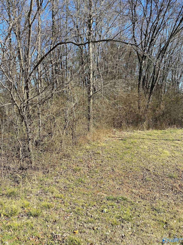 Listing photo 3 for 1.3ACRES County Road 460, Moulton AL 35650