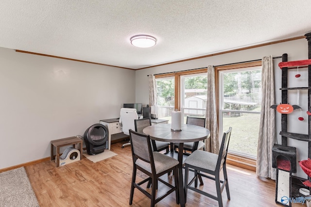 1104 Princeton Dr, Madison, AL 35758 - dining area with ornamental molding, light wood-type flooring, and a textured ceiling