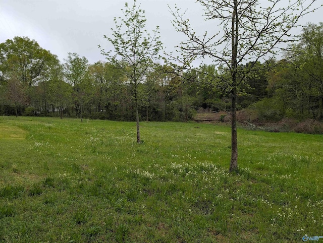 view of yard with a view of trees