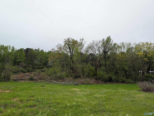 view of yard featuring a wooded view