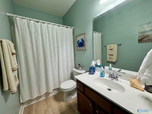bathroom with toilet, vanity, and wood finished floors