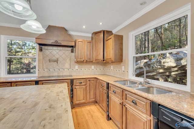 kitchen with sink, tasteful backsplash, light wood-type flooring, custom exhaust hood, and ornamental molding