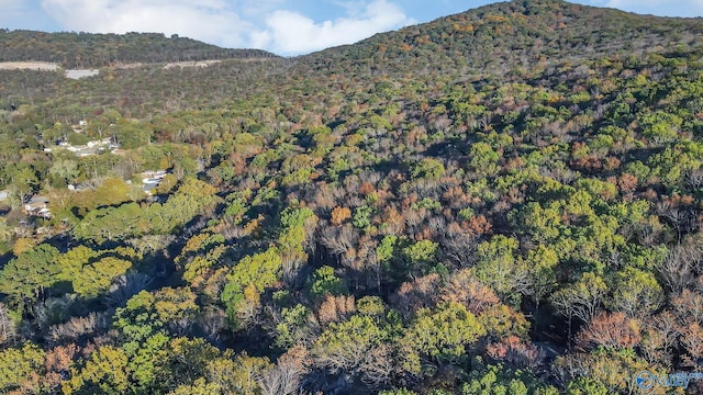 view of mountain feature