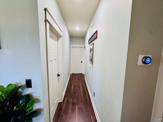 624 2nd Ave S, Loretto, TN 38469 - corridor featuring dark wood-style floors and baseboards