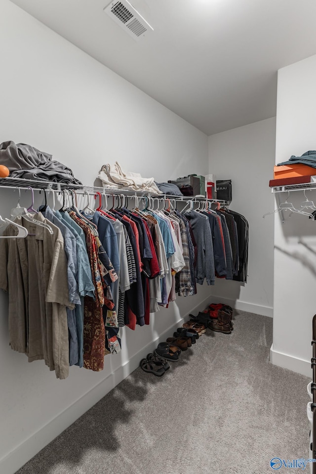 walk in closet featuring carpet floors