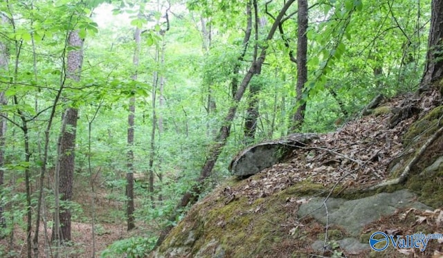 LOT11 Bear Creek Trl, Fort Payne AL, 35957 land for sale