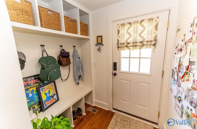 mudroom with dark wood-type flooring