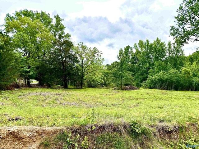 741 County Road 325, Moulton, AL 35650