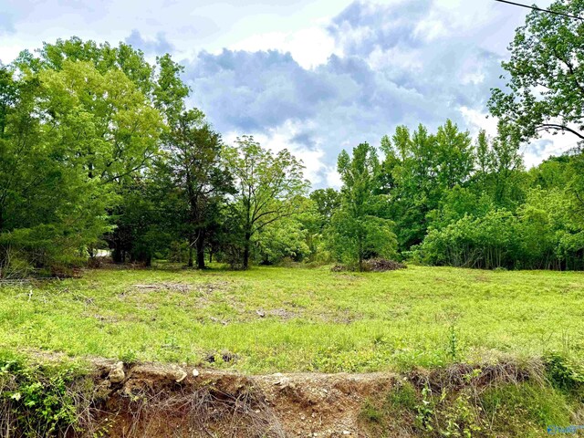 741 County Road 325, Moulton, AL 35650