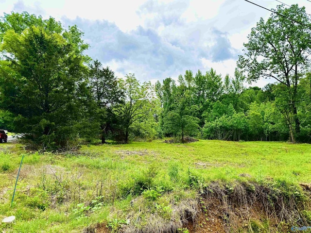 741 County Road 325, Moulton, AL 35650
