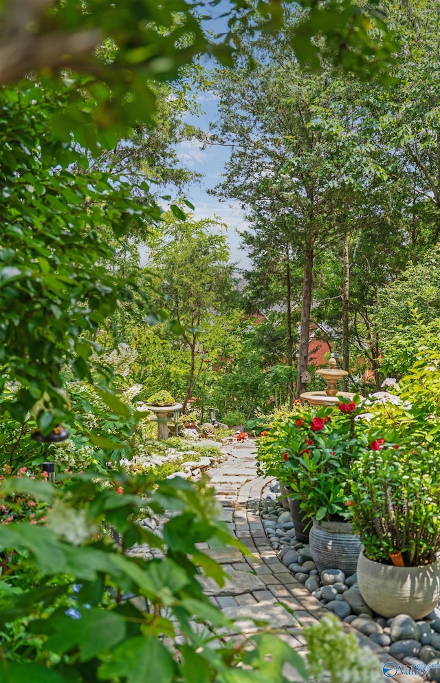 601 Smokey Mountain Cir, Huntsville, AL 35803 - view of yard