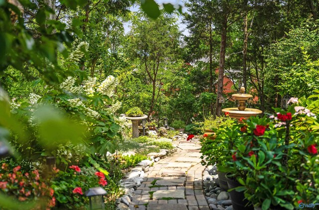 601 Smokey Mountain Cir, Huntsville, AL 35803 - view of yard