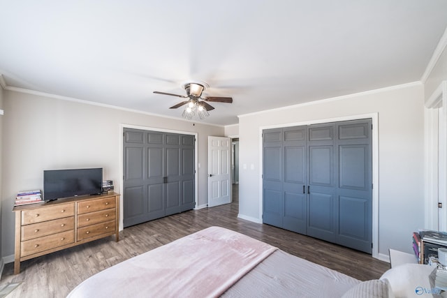 bedroom with crown molding, two closets, dark hardwood / wood-style floors, and ceiling fan