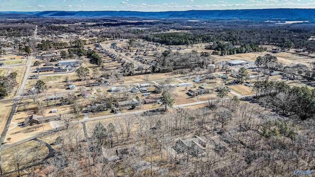 aerial view featuring a mountain view