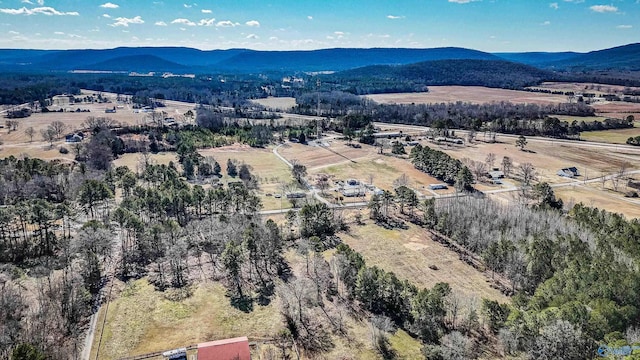 birds eye view of property featuring a mountain view