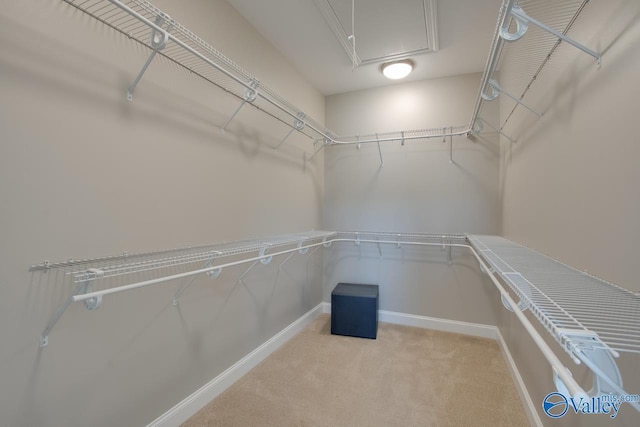 spacious closet featuring light carpet