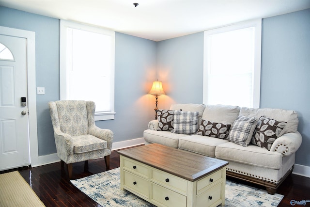 living room featuring dark wood-type flooring